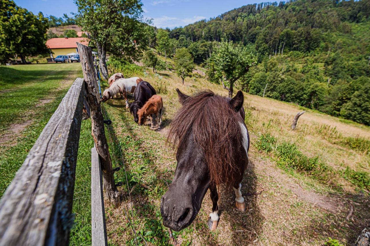 Eko Pony Ranch Ogrizek Apartamento Podčetrtek Exterior foto