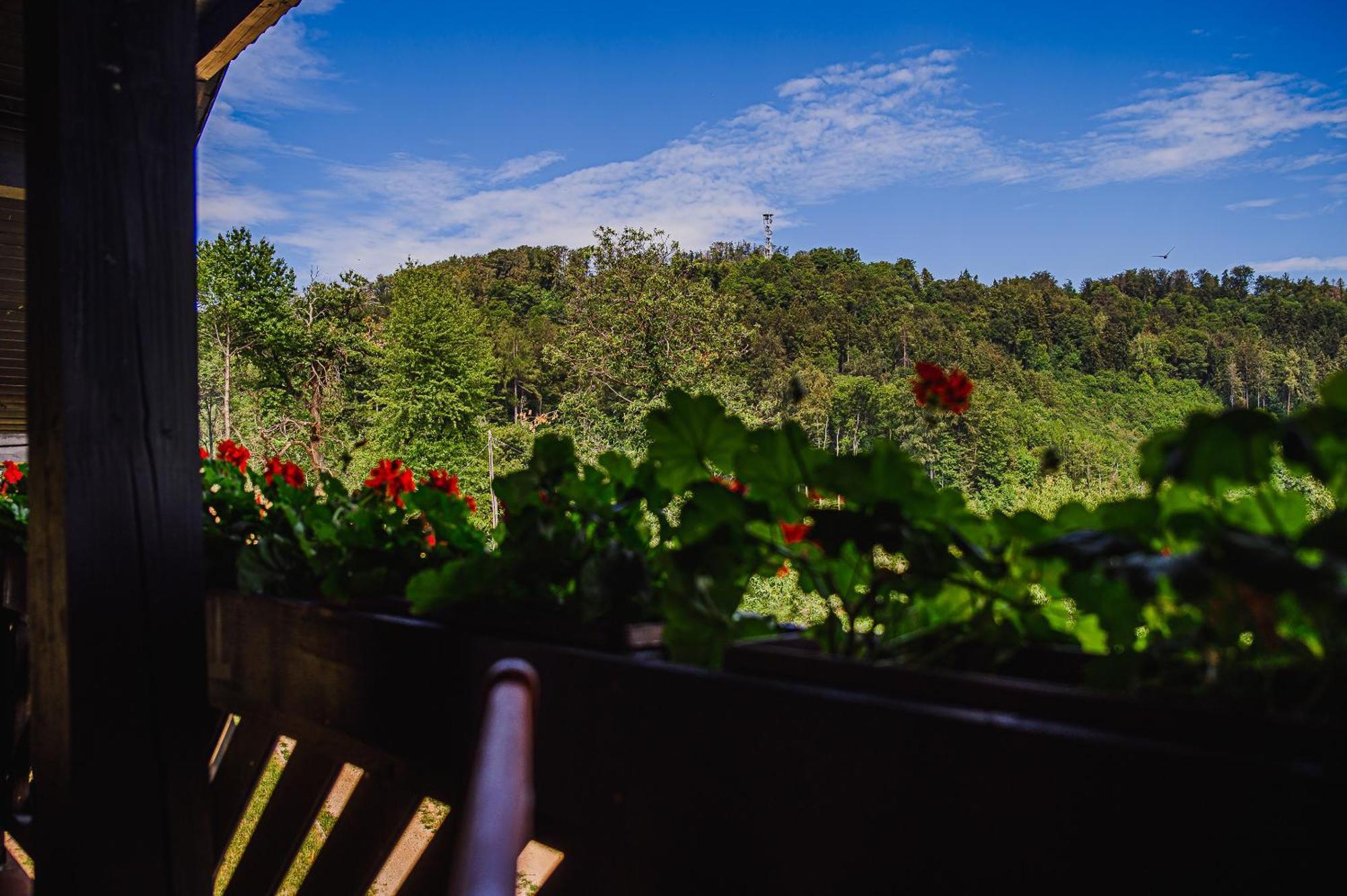 Eko Pony Ranch Ogrizek Apartamento Podčetrtek Quarto foto