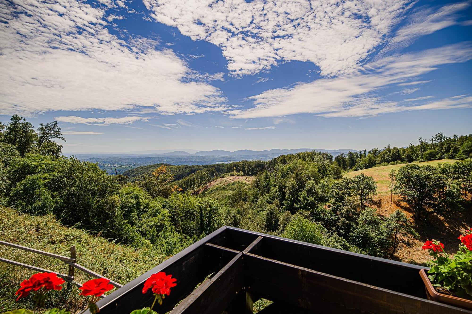 Eko Pony Ranch Ogrizek Apartamento Podčetrtek Quarto foto