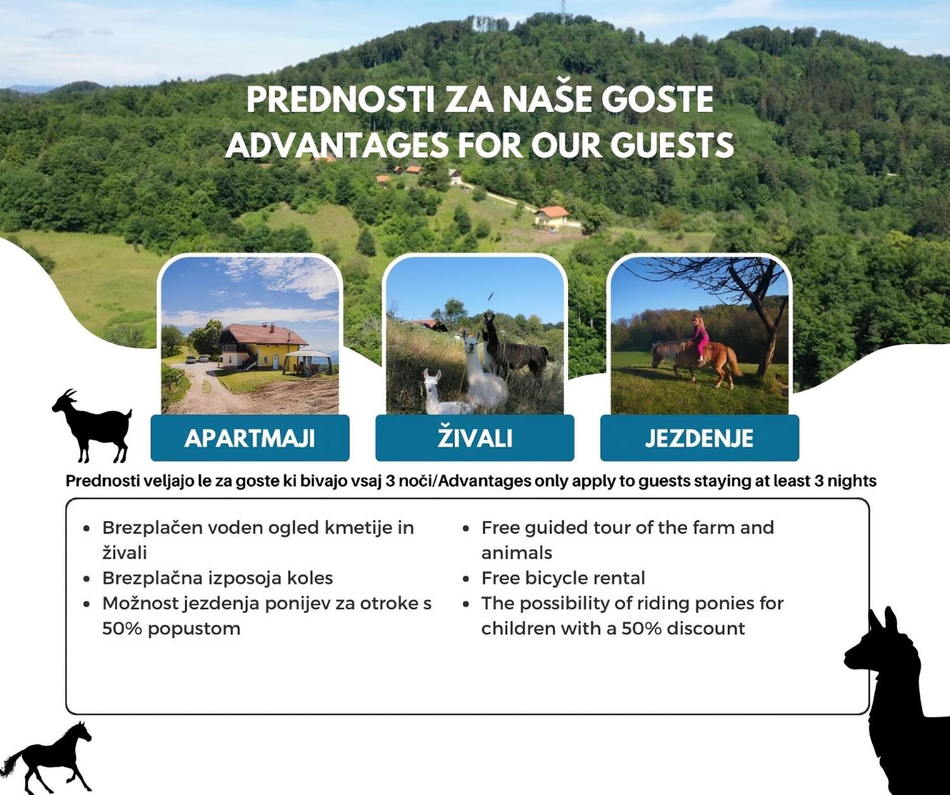 Eko Pony Ranch Ogrizek Apartamento Podčetrtek Exterior foto